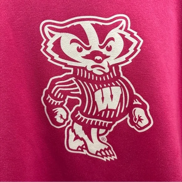 Jansport Wisconsin Badgers Pink Hoodie Womens Size Large Rare - Picture 3 of 8